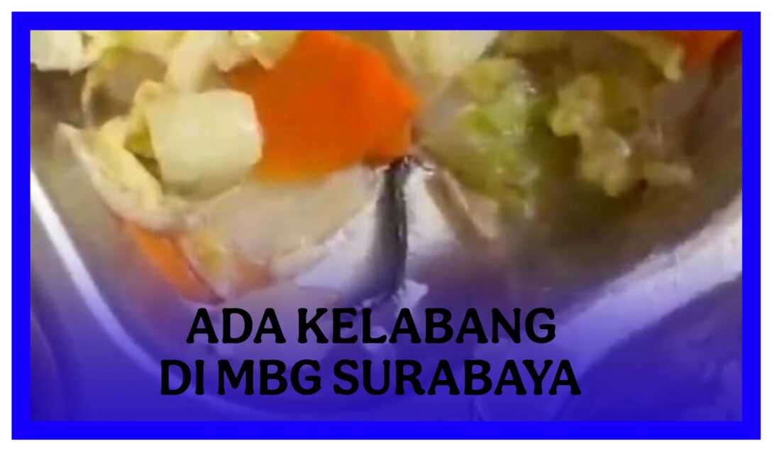 berita temuan kelabang di menu Makan Bergizi Gratis(MBG) SMAN 15 Surabaya.