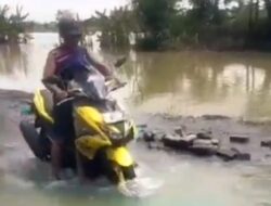 Banjir Gresik Surut, Kekompakan Warga dan Perangkat Desa Jadi Kunci Utama Pemulihan
