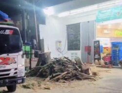 Penebangan Pohon Malam Hari di Undaan Kulon Disorot: Identitas Petugas Tak Jelas, DLH Belum Beri Respons Klarifikasi