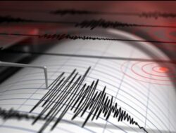 Gempa M 7,6 Guncang Jepang: 23 Orang Terluka Tsunami 70 Cm Hantam Aomori