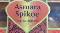 Kotak kemasan Roti Asmara Spikoe dengan desain dominan warna merah dan hijau serta logo berbentuk hati di bagian tengah.