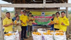 Ketua DPD Partai Golkar Kabupaten Way Kanan Hadiri Panen Raya Jagung di Kecamatan Baradatu
