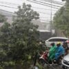 Hujan dan Angin Kencang Sebabkan Enam Pohon Tumbang di Sejumlah Ruas Jalan Surabaya