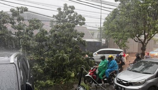 Pengendara sepeda motor melintas perlahan di tengah hujan angin Surabaya ketika sebuah pohon roboh dan menghalangi sebagian badan jalan, sementara kendaraan menyesuaikan laju di jalur yang tersisa.