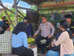 Wujudkan Swasembada Pangan Polsek Kenjeran Gandeng Mahasiswa Riset Kualitas Jagung di Tambak Wedi