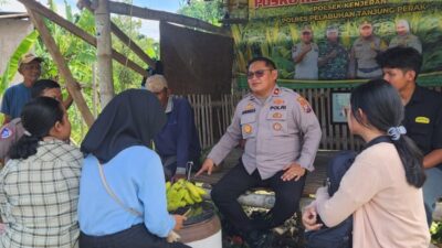 Wujudkan Swasembada Pangan Polsek Kenjeran Gandeng Mahasiswa Riset Kualitas Jagung di Tambak Wedi