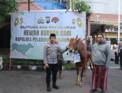 Polres Pelabuhan Tanjung Perak Salurkan Hewan Kurban di Hari Raya Iduladha 1447 H