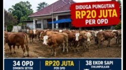 Diduga Ada Permintaan Dana Rp20 Juta per OPD untuk Pembelian Hewan Kurban di Lahat
