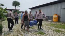 Polres Pelabuhan Tanjung Perak Panen Raya Terong Tumpang Sari Dukung Swasembada Pangan