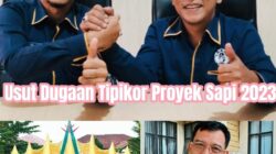 Penuhi Undangan Kejari Lampung Timur DPP KAMPUD Usut Proyek Pengadaan Sapi Dinas Perikanan dan Peternakan Lamtim