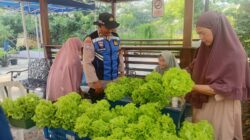 Dukung Ketahanan Pangan, Polsek Krembangan Panen Sawi Hidroponik Bersama KWT Dorang Cinta