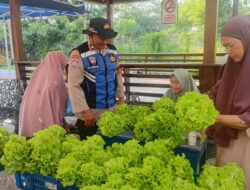 Dukung Ketahanan Pangan, Polsek Krembangan Panen Sawi Hidroponik Bersama KWT Dorang Cinta