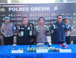Polres Gresik Sita 10,8 Kg Ganja di Gudang Ekspedisi