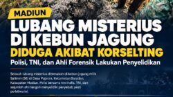 Lubang Misterius di Kebun Jagung Madiun Penyidik Telusuri Jejak Benturan dan Serpihan Logam